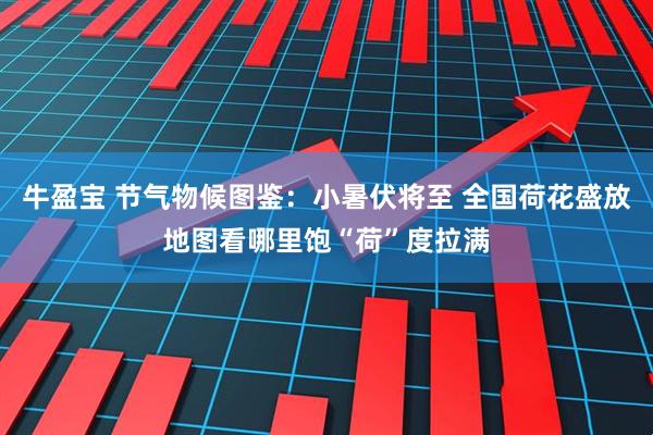 牛盈宝 节气物候图鉴：小暑伏将至 全国荷花盛放地图看哪里饱“荷”度拉满